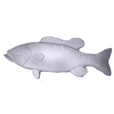 Bass Plaque Large
