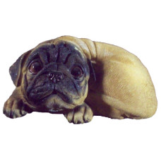 Curled up Pug Statue Curled up Pug Statue