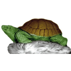 Box Turtle Statue