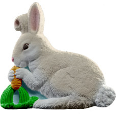 Bunny with Carrot Plaque