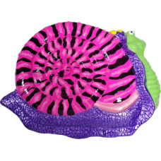 Snail Plaque Snail Plaque