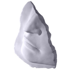 Davids Fragment Plaque Davids Fragment Plaque