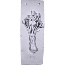 Iris Plaque