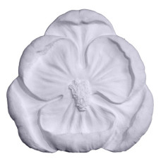 Pansy Plaque