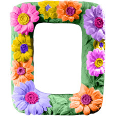 Daisies Picture Frame