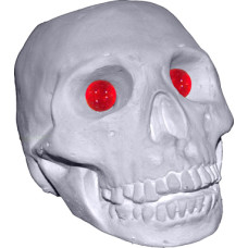 Skull Head Statue Glass Eyes included Skull Head Statue Glass Eyes included