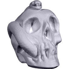 Skull with Snake Statue