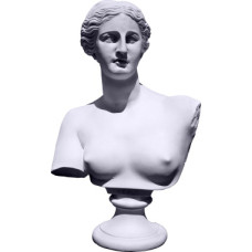 Venus Bust Statue
