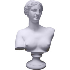 Venus Bust Statue