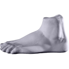 Davids Foot Statue Davids Foot Statue